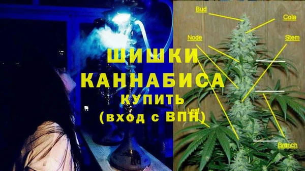трава Богданович