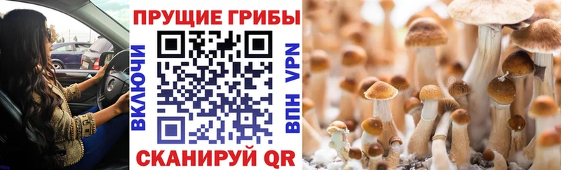 Галлюциногенные грибы GOLDEN TEACHER  Белоусово 